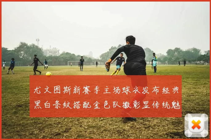 尤文图斯新赛季主场球衣发布经典黑白条纹搭配金色队徽彰显传统魅力