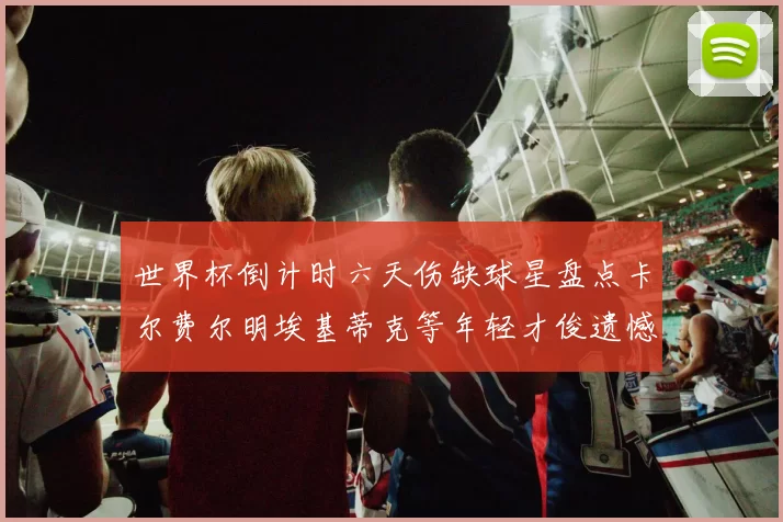 世界杯倒计时六天伤缺球星盘点卡尔费尔明埃基蒂克等年轻才俊遗憾缺席